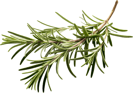 food-image-rosemary-opt.png